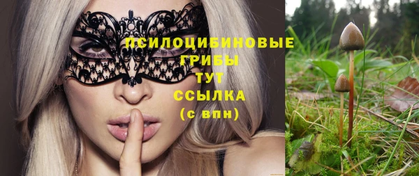 мдпв Няндома