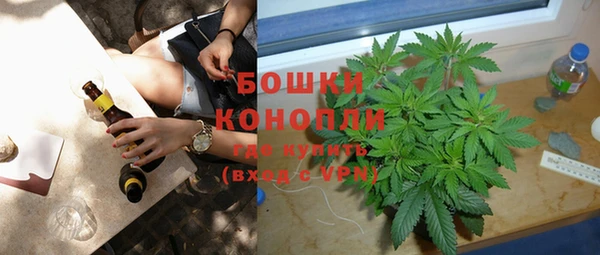 мдпв Няндома