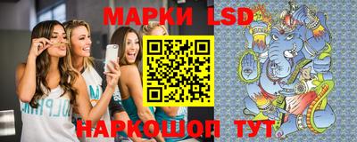 гашик Гудермес