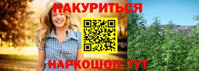 гашик Гудермес