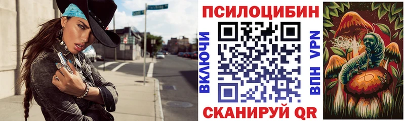 Галлюциногенные грибы мицелий  купить наркотики сайты  Липецк 