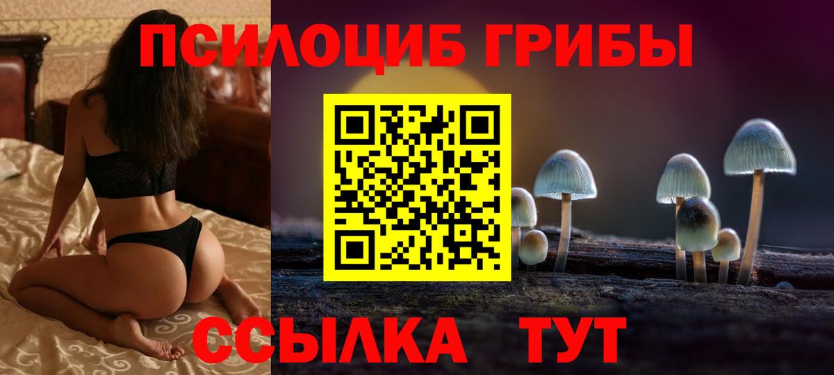 Псилоцибиновые грибы Cubensis Липецк