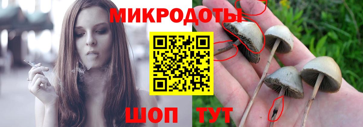 Псилоцибиновые грибы MAGIC MUSHROOMS  где продают наркотики  Липецк  Вход с VPN  Галлюциногенные грибы Psilocybine cubensis 